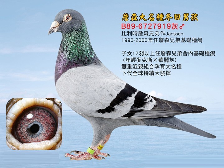 海霸王詹森研究中心