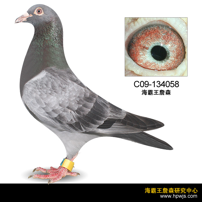  c09-058    캣ר ɫʯ