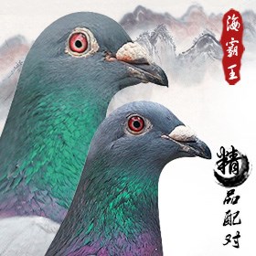 ���ͼƬ�鿴��ϸ