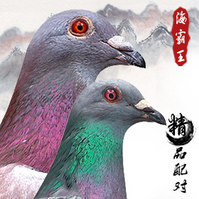 ���ͼƬ�鿴��ϸ