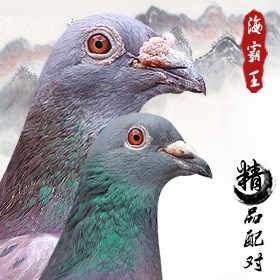 ���ͼƬ�鿴��ϸ